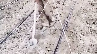 Interesting invention and smart way of working of farmers
