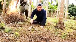 Amazing Hand Fishing