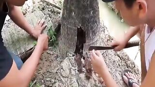 Snake hunting