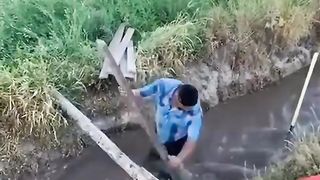 perfection in the idea