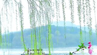 Animation 3