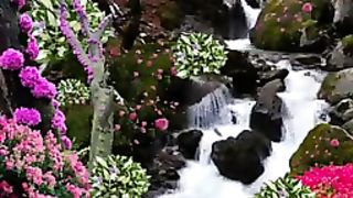 cute waterfall