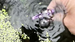 Mobile under the water ????????