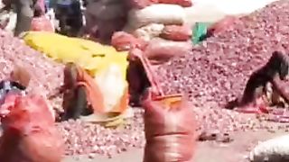 किसान के लिए जरूरी सूचना मंडी अवकाश लगातार