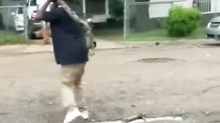 Dogs attaks