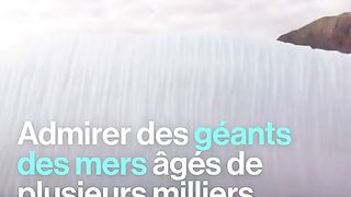 "Iceberg viewing" au Canada : un tourisme en plein essor
