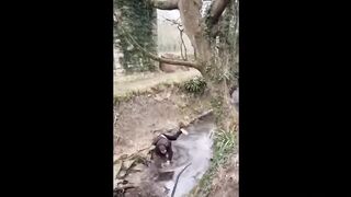 WHEN YOU'RE STUPID ! # 22 || Instant Regret Compilation (Episode 117) | Fails Compilation