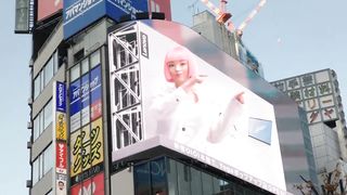 New version of cat in shinjuku.Video 2023