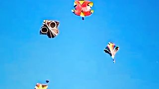 Beautiful kites flying ????#viral#foryou#patangbazi lover #febspot