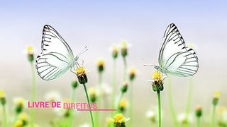 ✅Música calmante para relaxar e dormir (Soothing music to relax and sleep)