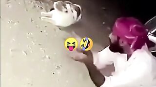 Best funny clip # new funny video latest funny 2023