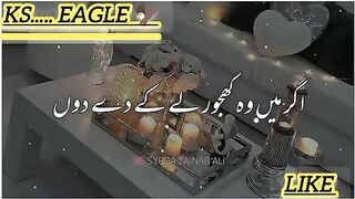 Hazrat Molana Tariq jamiel Ka ???? (360)..