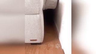 Animaux drôle 2