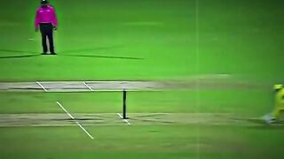 What a fielding by Australia fielder