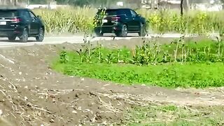 cars LOVER