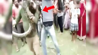 Deadly snake encounter.