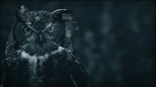 ХАРКОВСКОТО КОНТРАНАСТЪПЛЕНИЕ - ЗЕМЯ  СБУ