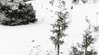 БЕСАРАБИЯ 4