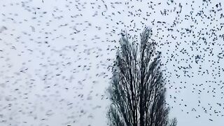 Nature Really Is Incredible