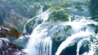 peaceful and relaxing sweet views of nature