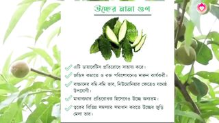 Powerful Heart Touching Motivational  Quotes in bengali