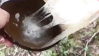 How farmers get latex
