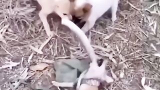 Amazing Team Work Stay Alive