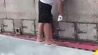 The first time I saw a lot of fish