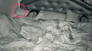 Centipede Creeps Into Family’s Bed