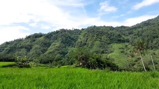 the melodious hum of Sundanese