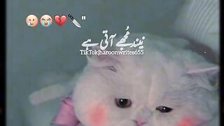 Funny 135