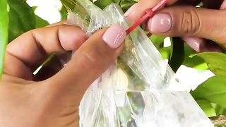 Creative plants hacks to boost harvest