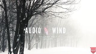 Winter Wind Sound Effects - Snow Storm Sounds for Relaxation and Sleep