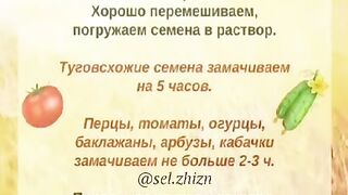 ТОРЕНЕ И РАСТИТЕЛНА ЗАЩИТА БЕЗ ХИМИЯ