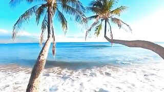 Beautiful view / nature beauty