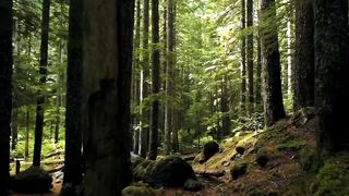 natural therapy and relaxation
