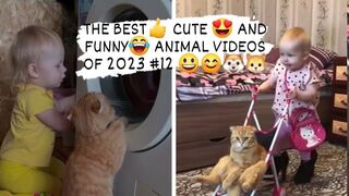 THE BEST- CUTE - AND FUNNY- ANIMAL VIDEOS OF 2023 2