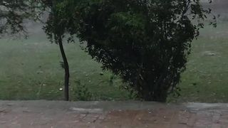 Tofani Barish