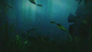 Must watching amazing activities of wildlife animals