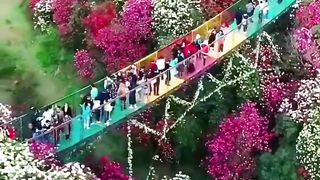 Beautiful World in China