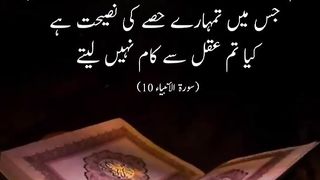 quotes channel 11