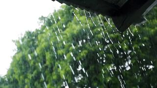 Relaxing deep Raining.