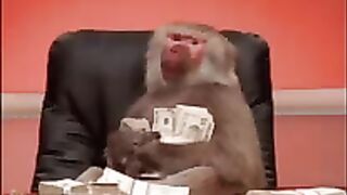 Money ????