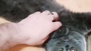 Няшка