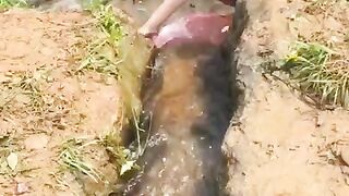 FISH O NOW