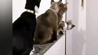 Встреча.)))