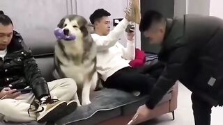Главное дисциплина)))