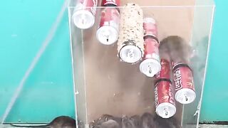 febspot video #video #febspot #viral