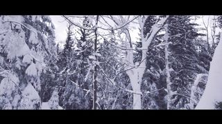 AURORA-Runaway