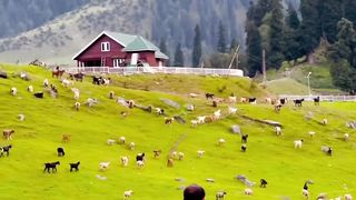 Adventure beauty of kashmir 3